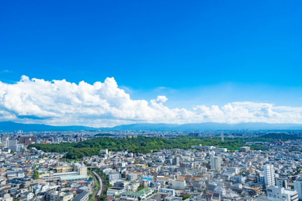 地域密着型